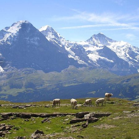 Beim See Grindelwald Exteriör bild