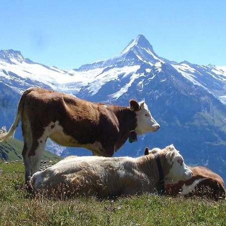 Beim See Grindelwald Exteriör bild