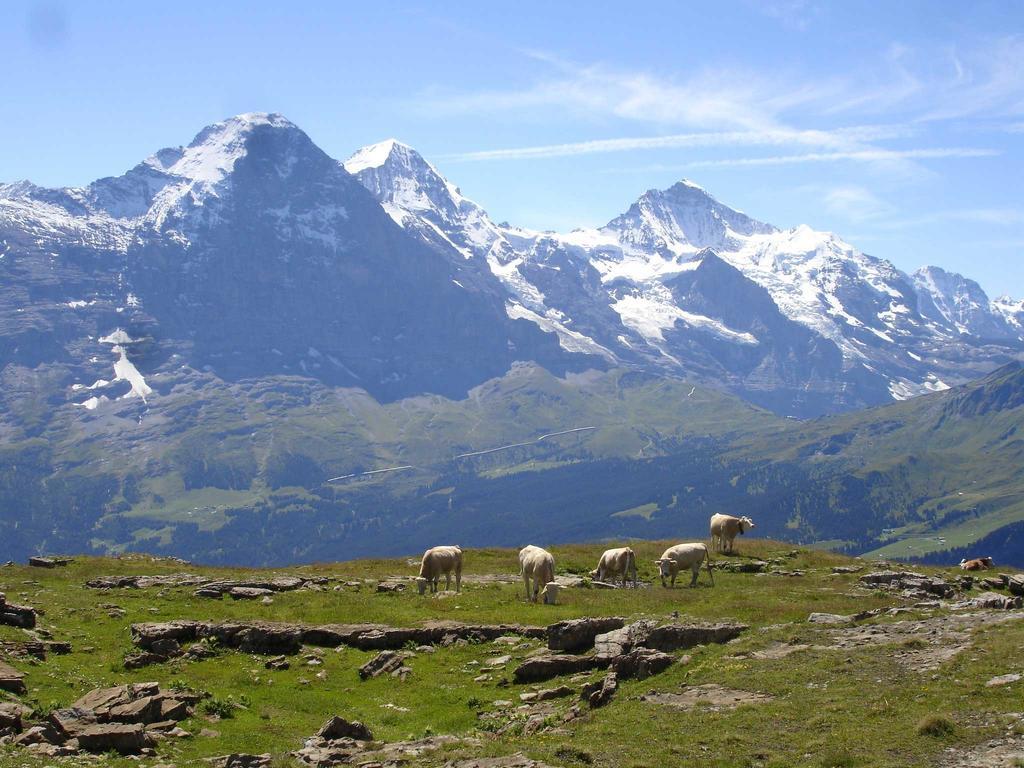 Beim See Grindelwald Exteriör bild