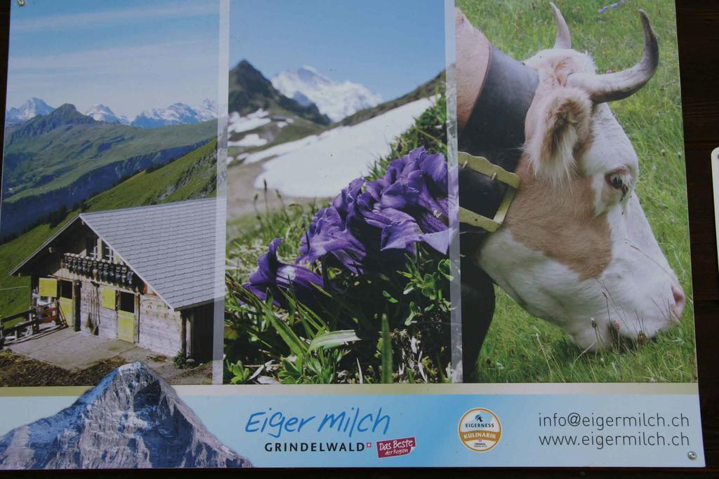 Beim See Grindelwald Exteriör bild